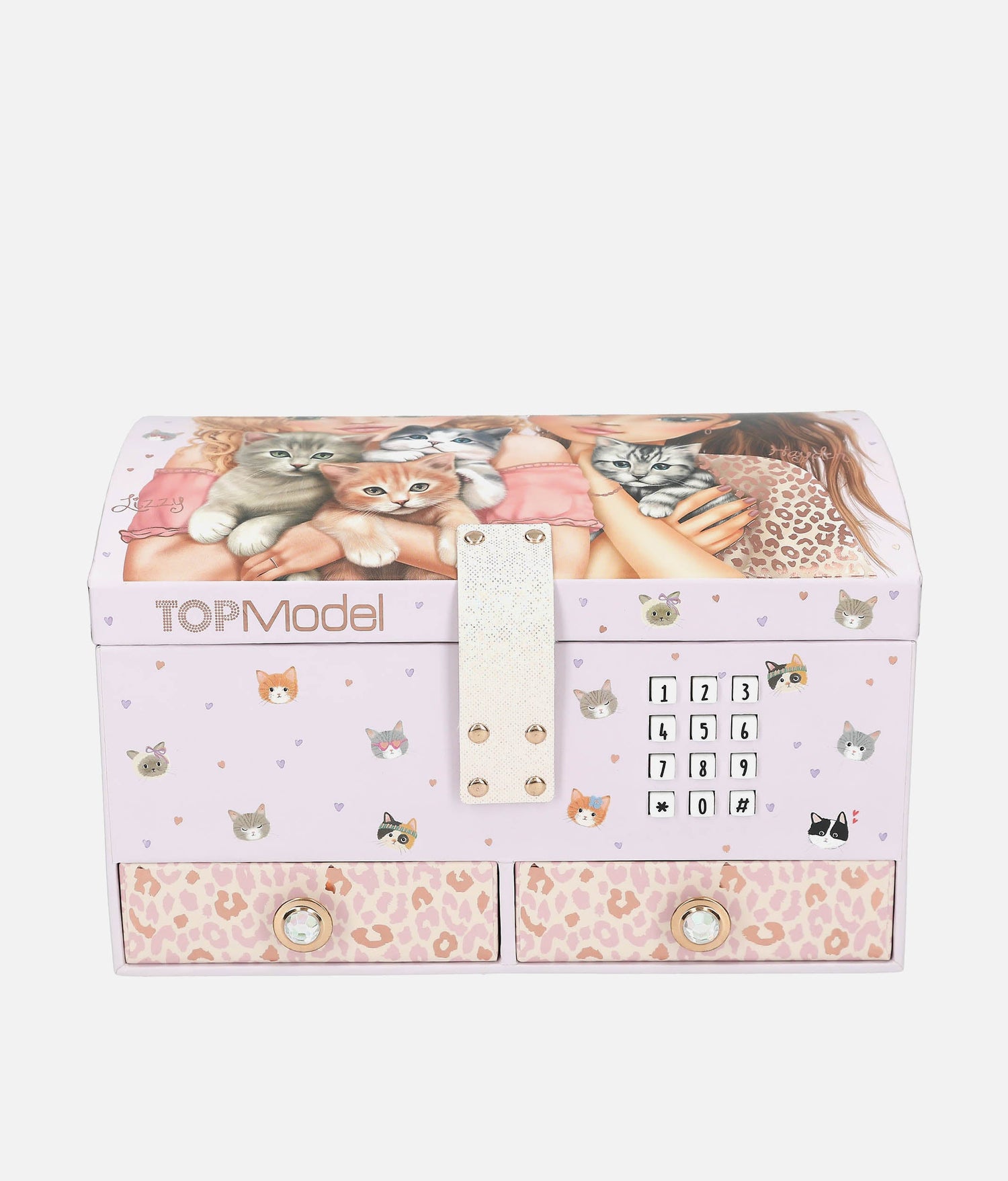 TopModel toy box with cat design and lock on a white background