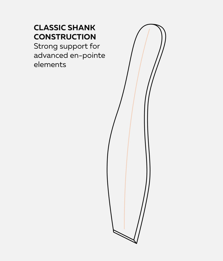 Fouetté Pointe Shoes - Fouette