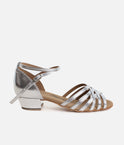 Silver Ballroom &amp; Latin Dance Shoes, Low Block Heel - 008