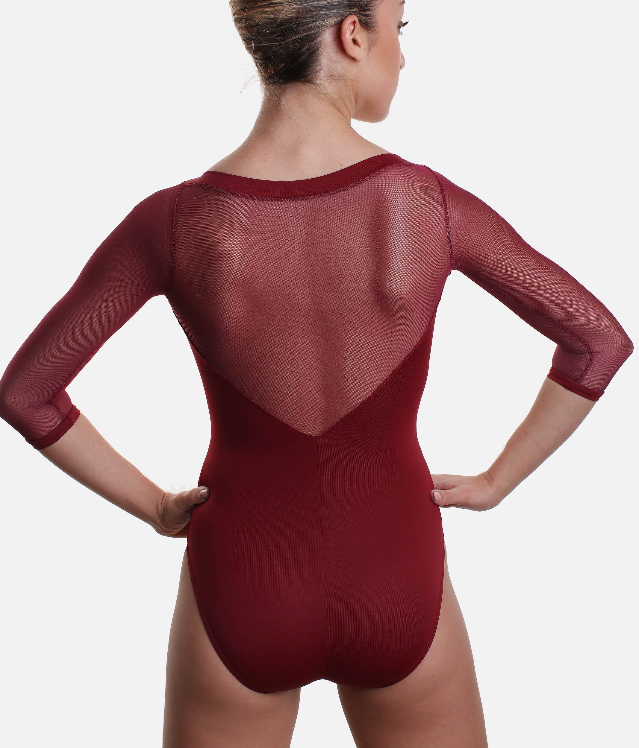 Long Mesh Sleeve Dance Leotard - SL129