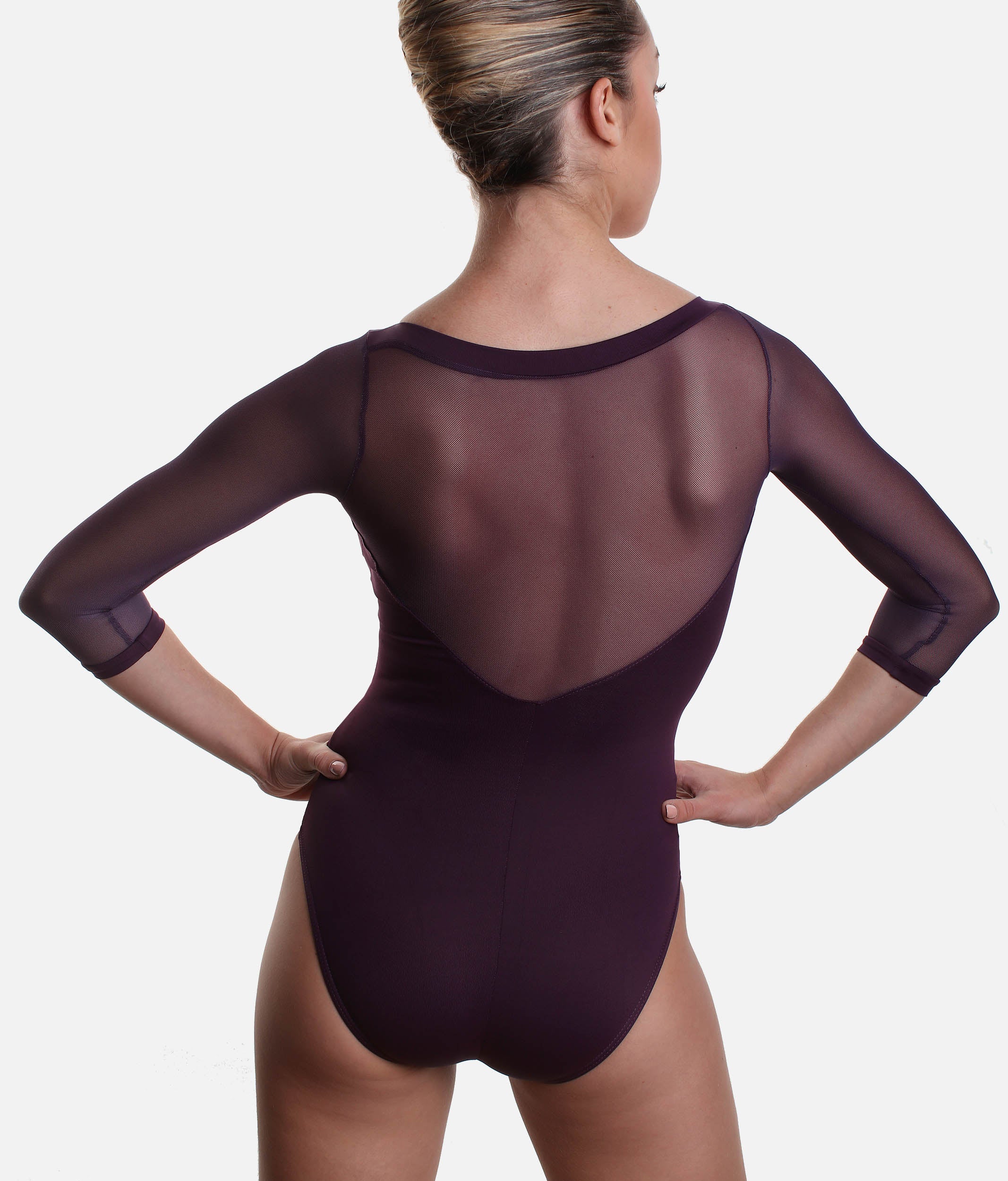 Long Mesh Sleeve Dance Leotard - SL129