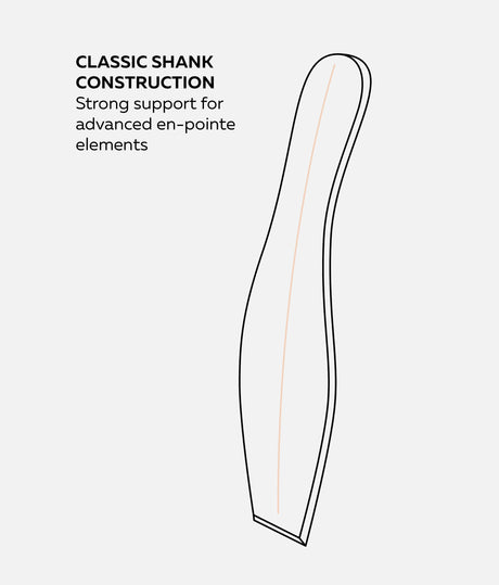 Fouetté Pointe Shoes - Fouette