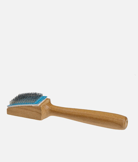 Dance Shoe Brush With Case