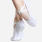 Medium Width, Stretch Canvas Ballet Shoe - SD 16