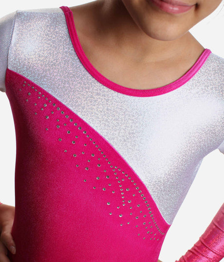 Ombré Long Sleeve Gymnastics Leotard - Z590 IDOL